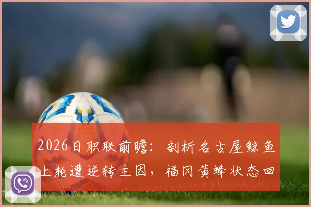 2026日职联前瞻:剖析名古屋鲸鱼上轮遭逆转主因,福冈黄蜂状态回升的三大关键点